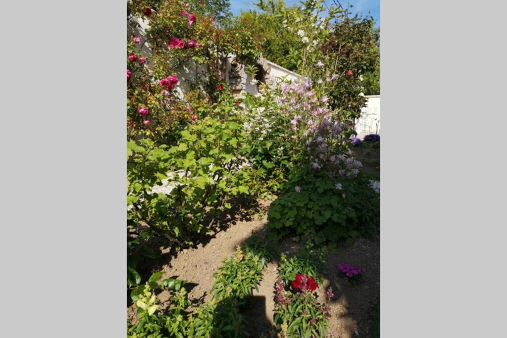 La Roseliere Maison Plain Pied Confortable Belle Decoration Jardin Magnifique 10 Mn A Pied Centre Ville Bayeux Proche Plages Du Debarquement מראה חיצוני תמונה