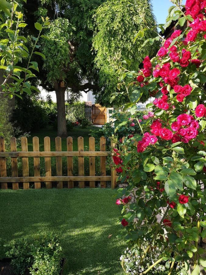 La Roseliere Maison Plain Pied Confortable Belle Decoration Jardin Magnifique 10 Mn A Pied Centre Ville Bayeux Proche Plages Du Debarquement מראה חיצוני תמונה